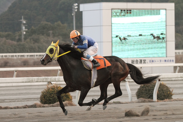 2011年2月5日(土) 高知競馬 4R C1ロC2イ_a0077663_96365.jpg
