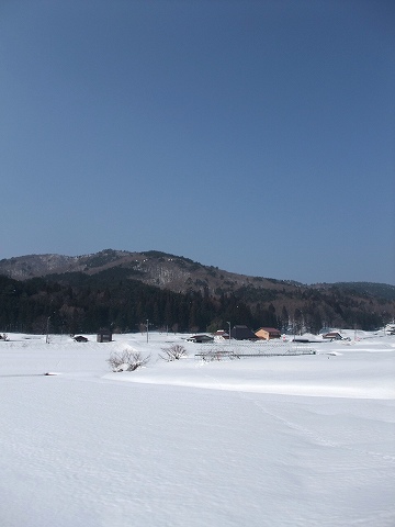 e0045768_22162820.jpg