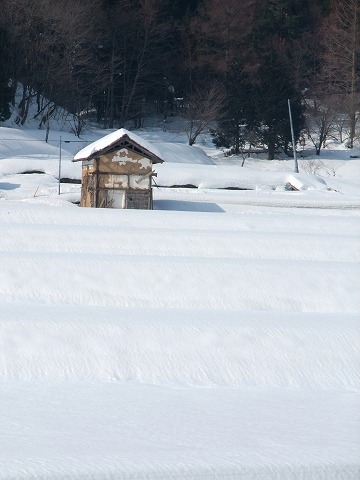 e0045768_22164181.jpg