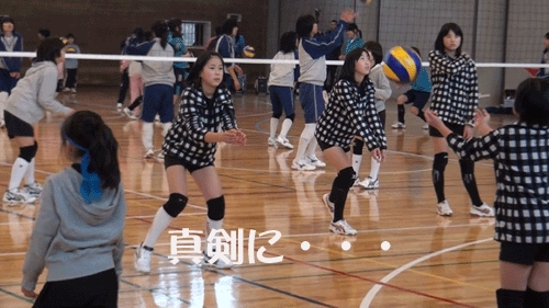 三重_c0000970_1014376.gif