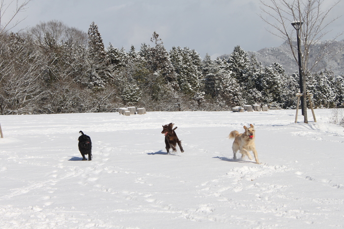 丹波篠山で雪遊びⅱ～♪_d0078080_115209.jpg