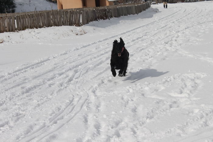 丹波篠山で雪遊びⅱ～♪_d0078080_12405714.jpg