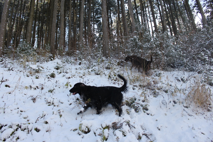 丹波篠山で雪遊びⅱ～♪_d0078080_13372445.jpg