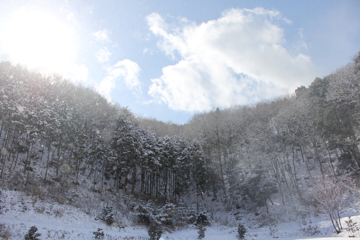 丹波篠山で雪遊びⅱ～♪_d0078080_136511.jpg