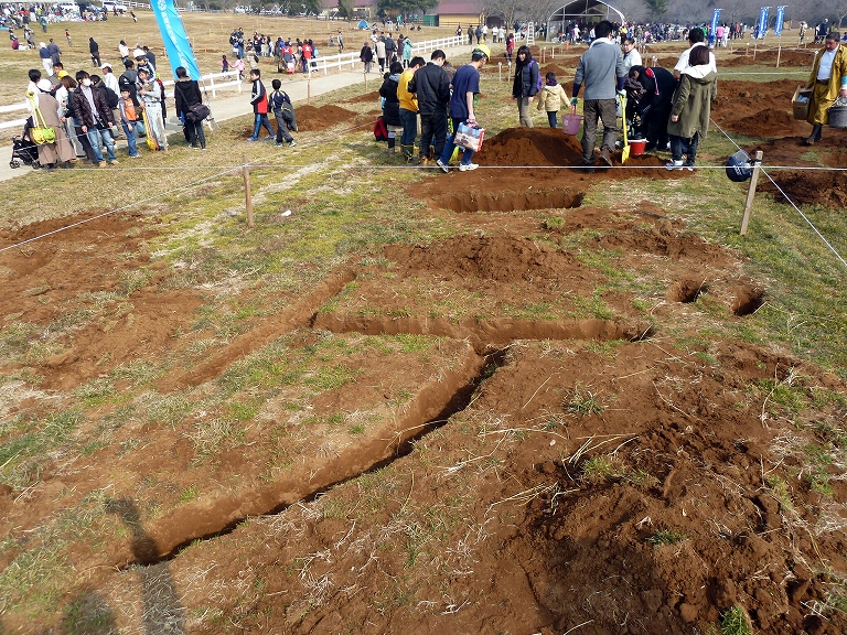 第11回全国穴掘り大会 存在感のないページ