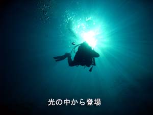 ソフトコーラルを求めて_f0144385_19493143.jpg