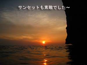 ソフトコーラルを求めて_f0144385_19504847.jpg
