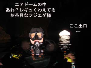 ソフトコーラルを求めて_f0144385_1950879.jpg