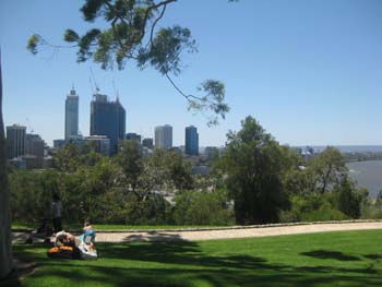 Kings Park_f0177489_936994.jpg