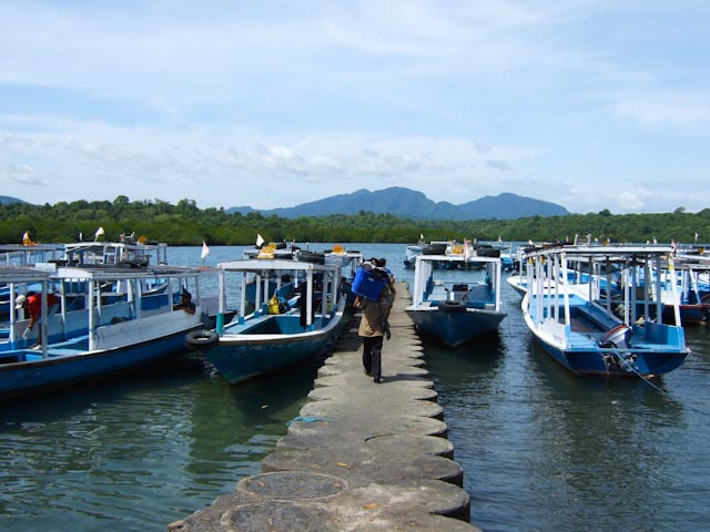 e0064291_1525058.jpg