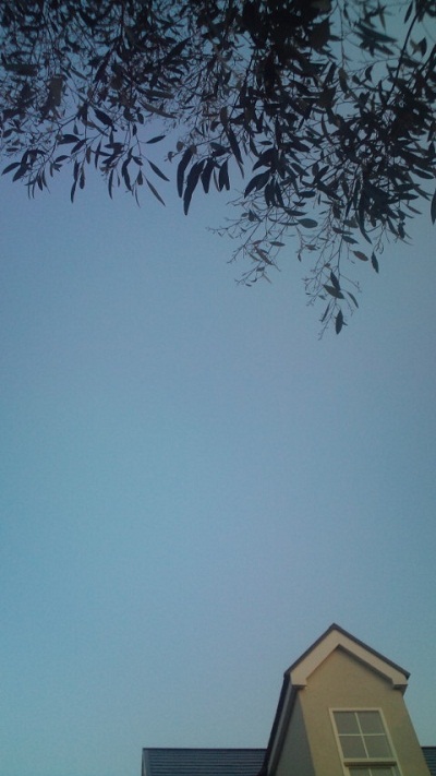 b0207995_20545869.jpg