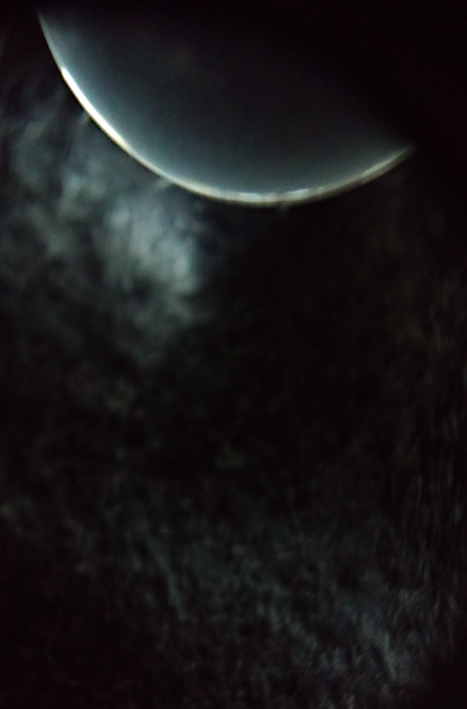 a0199297_21544029.jpg