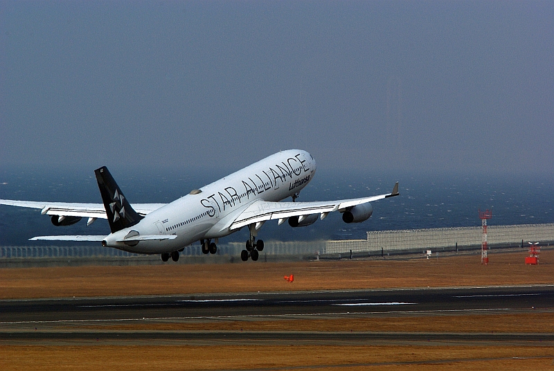 a0198898_1135553.jpg
