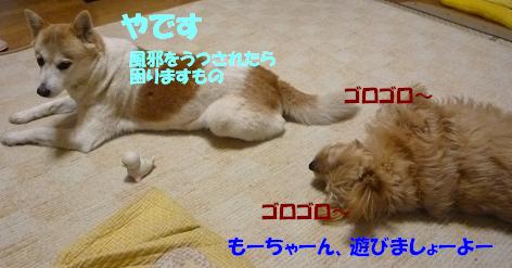 a0154801_20412310.jpg