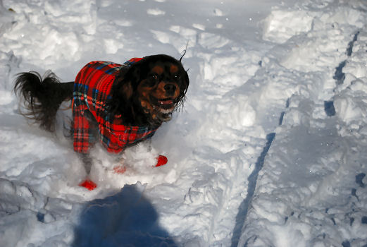 雪だらけの週末　ｂｙピース_a0134306_16141100.jpg