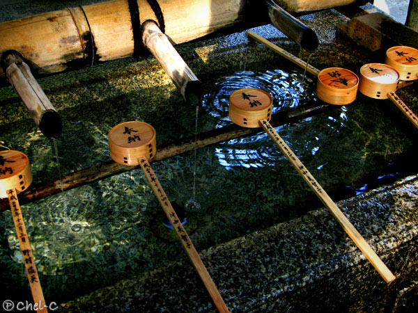 a0154706_20233270.jpg