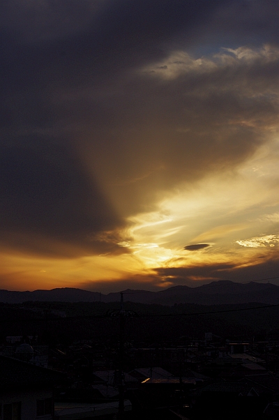 c0156908_233501.jpg
