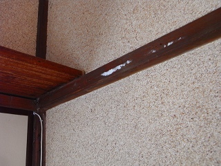 c0201910_19263183.jpg