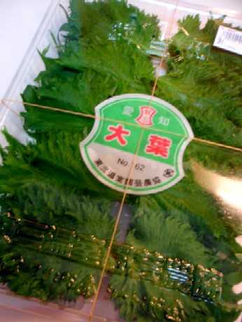 f0043911_0501369.jpg