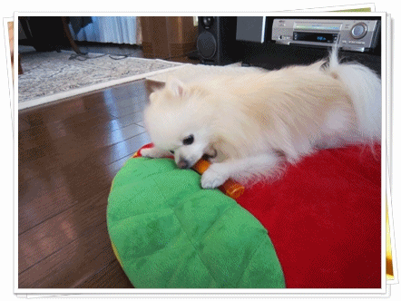 b0167519_952065.gif