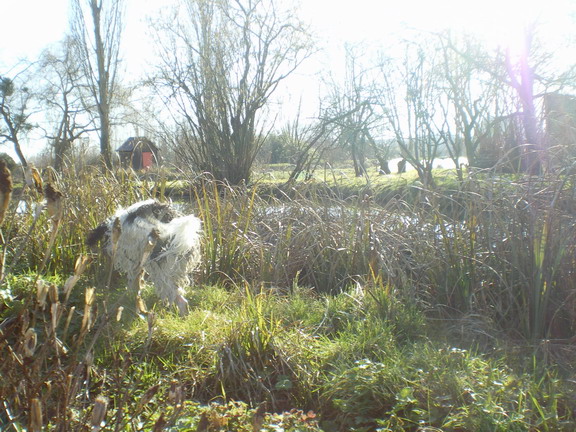 c0124619_8103139.jpg