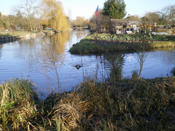c0124619_815255.jpg