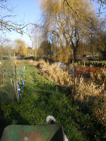c0124619_8155598.jpg
