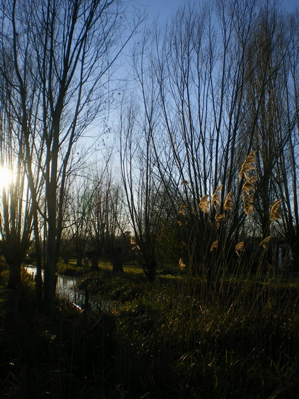 c0124619_8182032.jpg