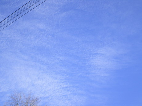 c0124619_883254.jpg