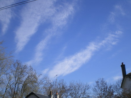 c0124619_891555.jpg