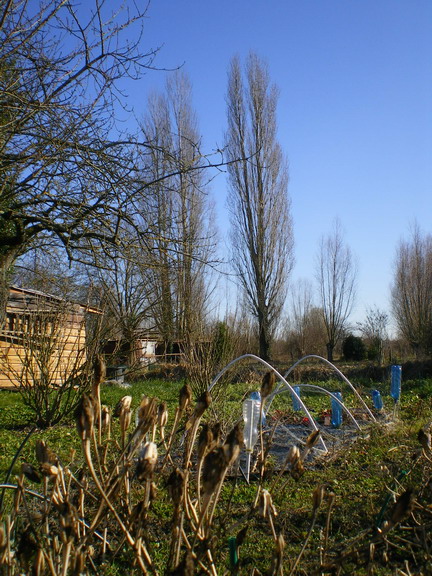 c0124619_895734.jpg