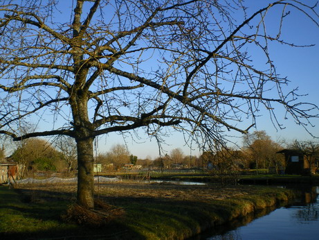 c0124619_98336.jpg