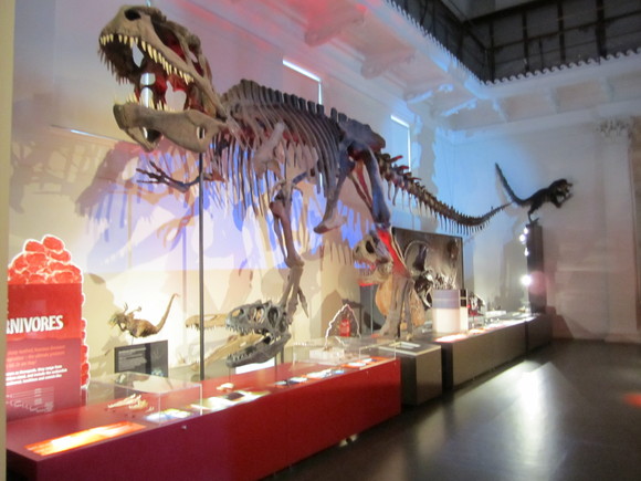 f0207320_1127983.jpg
