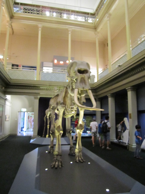 f0207320_11284027.jpg