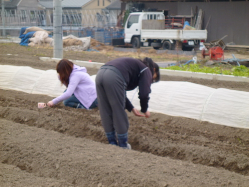 2/5(日)　田鶴さん訪問_f0142721_50443.jpg