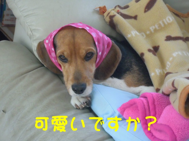 c0166622_9272913.jpg