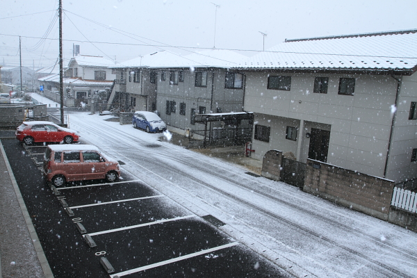 我が家の初雪_c0215627_22331617.jpg