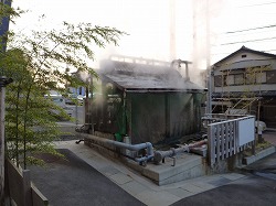 d0086228_10262429.jpg