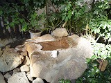 d0086228_1857030.jpg