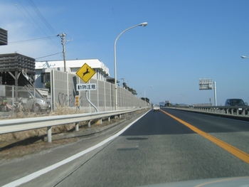 c0134734_20532475.jpg