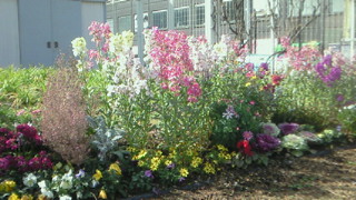 ぽかぽか♪(●´∀｀●)_c0210747_15343259.jpg