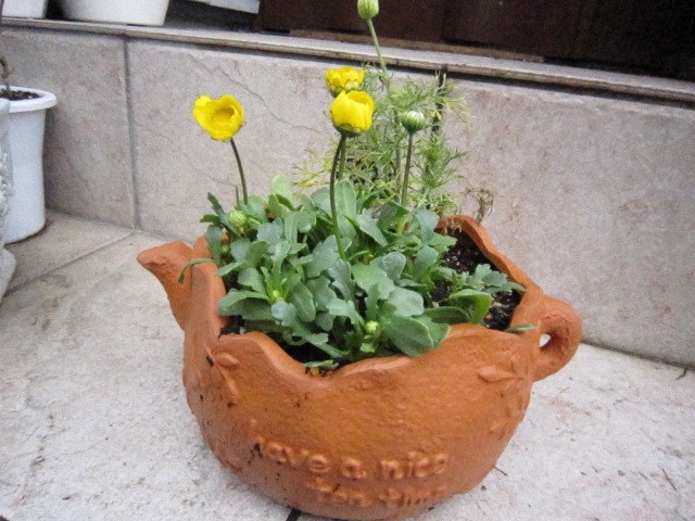 c0202870_11391543.jpg