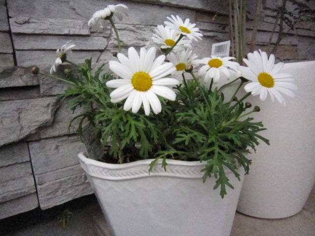 c0202870_1141378.jpg