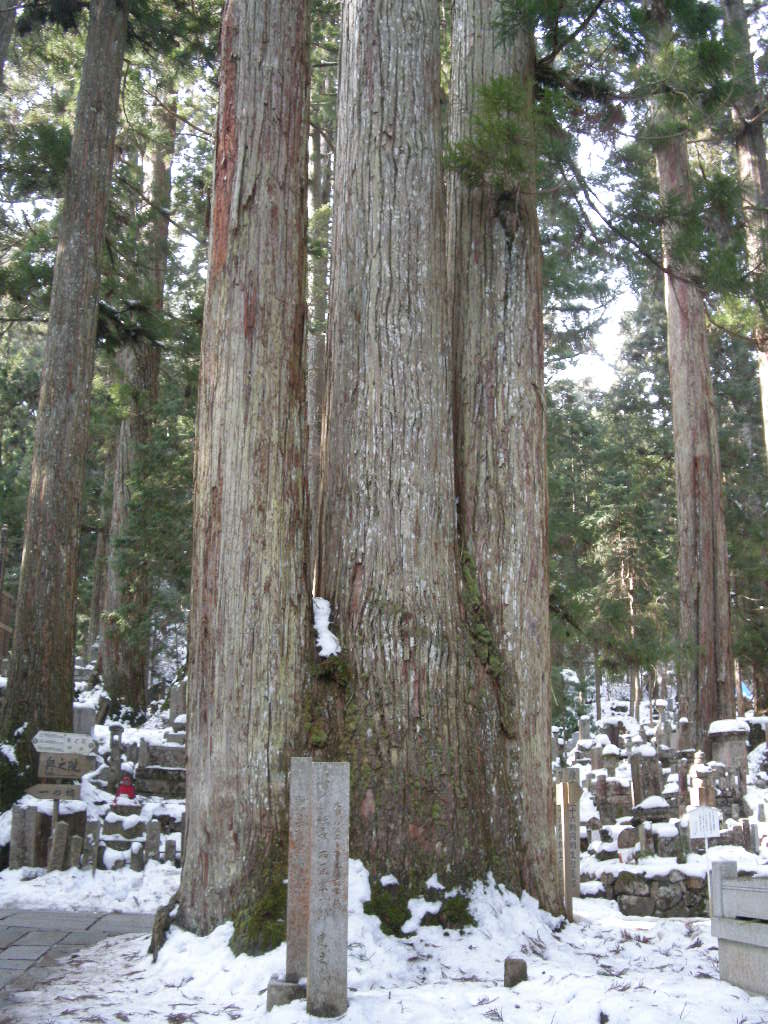 No111 高野山・高野三山めぐり_b0185573_149832.jpg