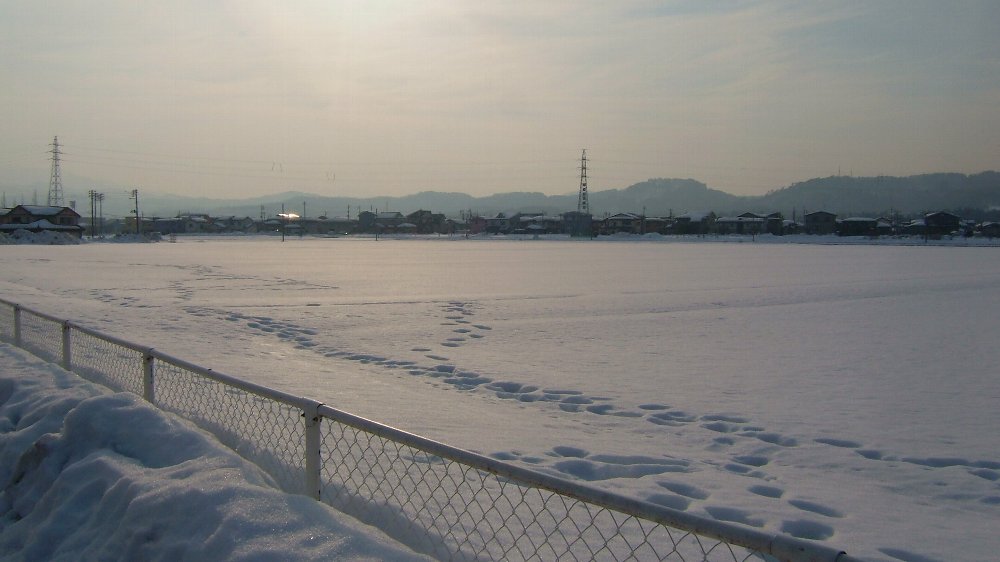 くびき平野の雪の様子！_e0065084_20465355.jpg