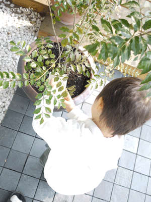 a0150193_144793.gif
