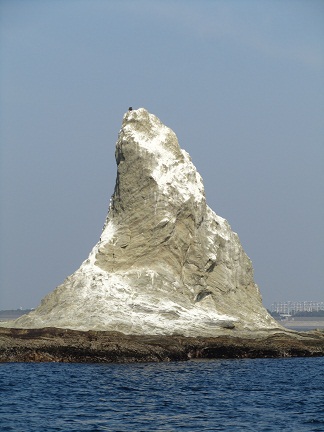 c0135795_20362596.jpg