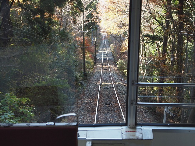e0039703_22584656.jpg