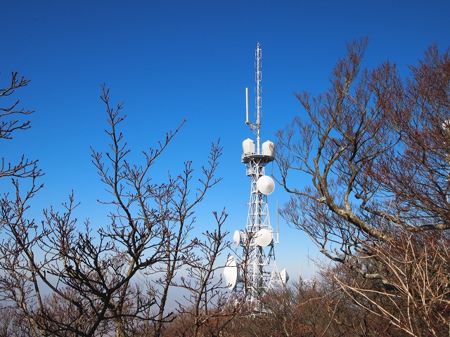 e0039703_2302712.jpg