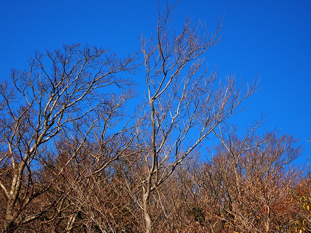 e0039703_2322244.jpg